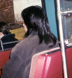 Tribute To The Mullet
